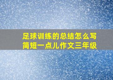 足球训练的总结怎么写简短一点儿作文三年级