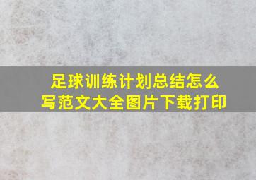 足球训练计划总结怎么写范文大全图片下载打印