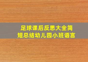 足球课后反思大全简短总结幼儿园小班语言