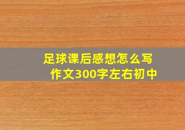 足球课后感想怎么写作文300字左右初中