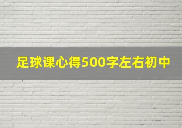 足球课心得500字左右初中