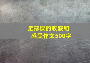 足球课的收获和感受作文500字