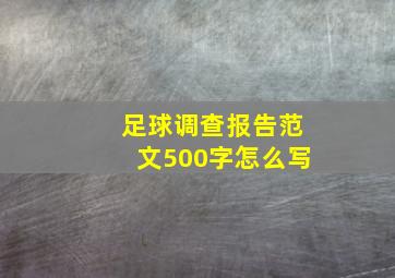 足球调查报告范文500字怎么写