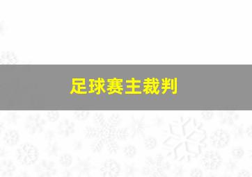 足球赛主裁判