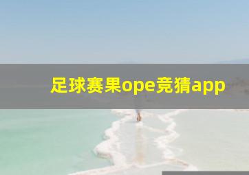 足球赛果ope竞猜app