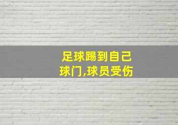 足球踢到自己球门,球员受伤