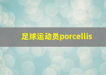 足球运动员porcellis