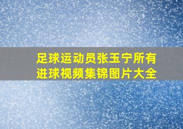 足球运动员张玉宁所有进球视频集锦图片大全