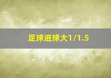 足球进球大1/1.5