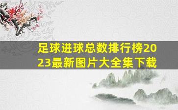 足球进球总数排行榜2023最新图片大全集下载