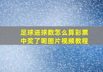 足球进球数怎么算彩票中奖了呢图片视频教程