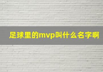 足球里的mvp叫什么名字啊