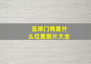 足球门将是什么位置图片大全