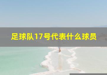 足球队17号代表什么球员