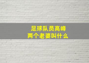 足球队员高峰两个老婆叫什么