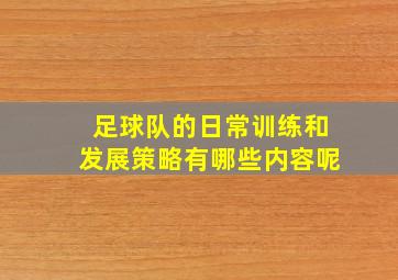 足球队的日常训练和发展策略有哪些内容呢