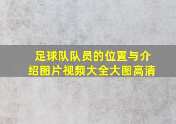 足球队队员的位置与介绍图片视频大全大图高清