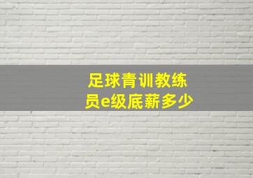 足球青训教练员e级底薪多少