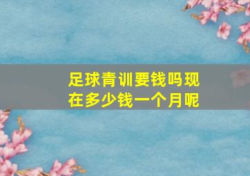 足球青训要钱吗现在多少钱一个月呢