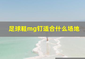 足球鞋mg钉适合什么场地