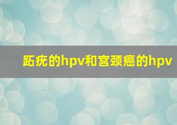 跖疣的hpv和宫颈癌的hpv