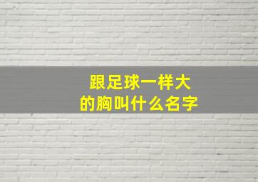 跟足球一样大的胸叫什么名字