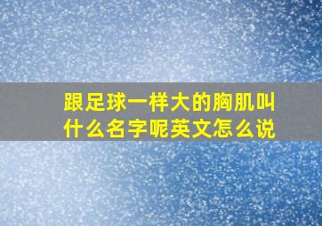 跟足球一样大的胸肌叫什么名字呢英文怎么说