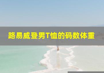 路易威登男T恤的码数体重