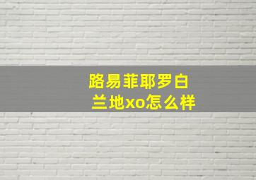 路易菲耶罗白兰地xo怎么样