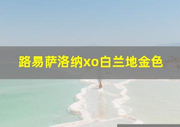 路易萨洛纳xo白兰地金色