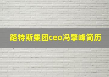 路特斯集团ceo冯擎峰简历