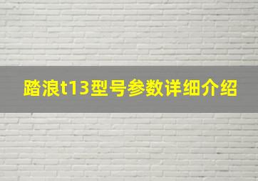 踏浪t13型号参数详细介绍