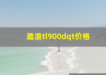 踏浪tl900dqt价格