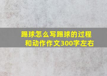 踢球怎么写踢球的过程和动作作文300字左右