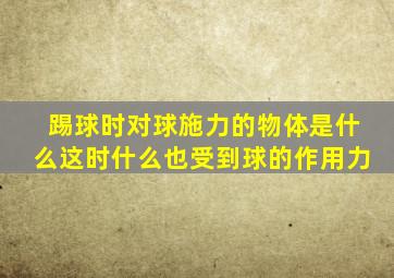 踢球时对球施力的物体是什么这时什么也受到球的作用力