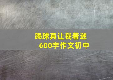 踢球真让我着迷600字作文初中