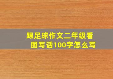 踢足球作文二年级看图写话100字怎么写