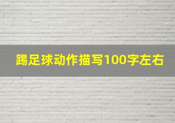 踢足球动作描写100字左右