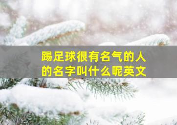 踢足球很有名气的人的名字叫什么呢英文