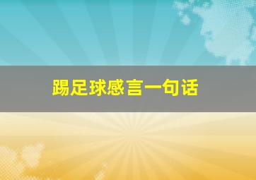 踢足球感言一句话