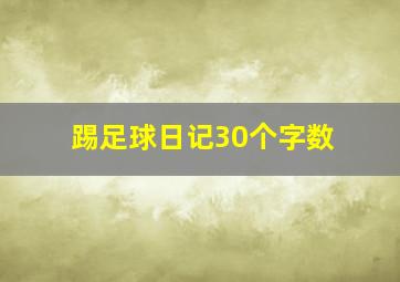 踢足球日记30个字数