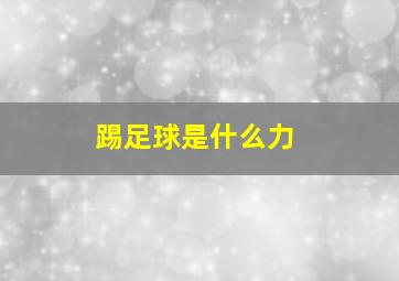 踢足球是什么力