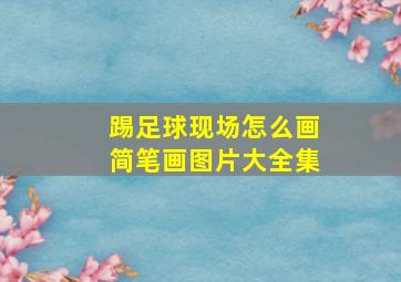 踢足球现场怎么画简笔画图片大全集