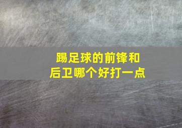 踢足球的前锋和后卫哪个好打一点