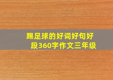 踢足球的好词好句好段360字作文三年级