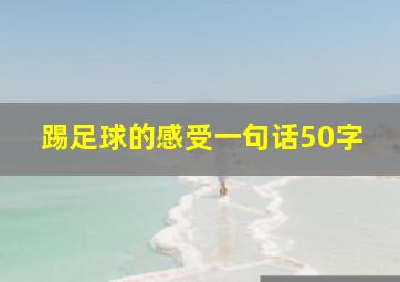 踢足球的感受一句话50字