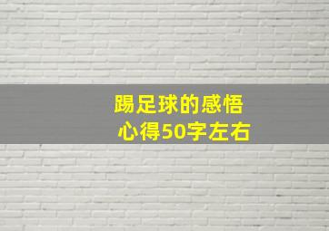 踢足球的感悟心得50字左右