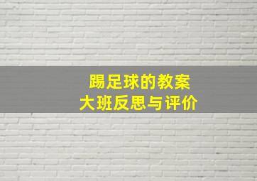 踢足球的教案大班反思与评价