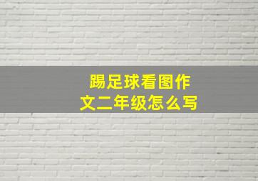 踢足球看图作文二年级怎么写