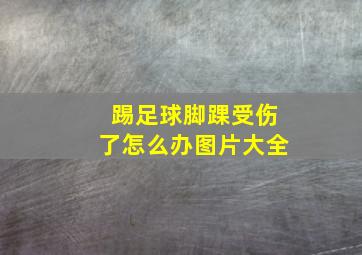 踢足球脚踝受伤了怎么办图片大全